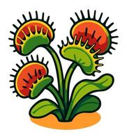Venus flytrap. Dionaea muscipula. Bright isolated illustration vector