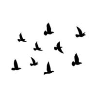 silhouette of a flock of birds illustration on a white background. vector