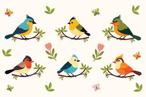 Set of Spring Birds with Floral and Butterfly Decorations on Tree Branches . vector