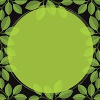 Leaf Frame on Dark Background with Copy Space for Text Illustration. vector