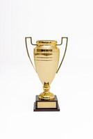 The Golden Trophy for Achievement stands as a revered symbol representing Success and Excellence, celebrated in various Competitions and prestigious Awards that honor exemplary performance photo