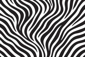 black and white zebra stripes vector