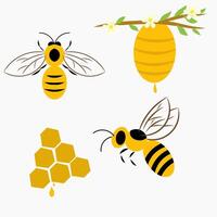 Honey Bee set clipart isolated on white background. Yellow bee side view and front view, beehive, honey vector