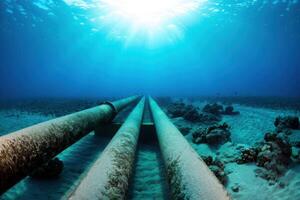 Submerged Pipelines Stretch Across Sandy Seabed Bathed in Sunlit Ocean Depths and Surrounded by Coral photo
