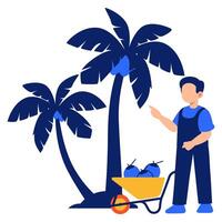 Tropical palm tree scenery with a farmer collecting coconuts in a lush summer setting vector