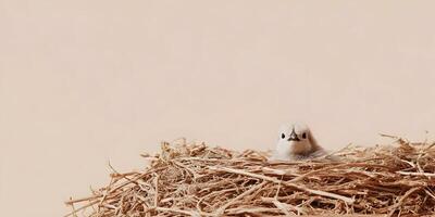 Cute Baby Bird in Nest Beige Background Spring Chick photo