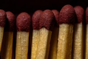 Close-Up View of Matchstick Heads in a Row in Warm Lighting photo