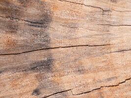 Natural patterns on weathered wood surface close-up nature photography rustic environment textured viewpoint organic beauty photo