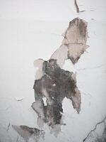 Water damage restoration process abandoned building visual documentation urban environment close-up view structural integrity analysis photo