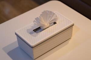 Cozy minimalist tissue box display on modern table aesthetic home photography photo