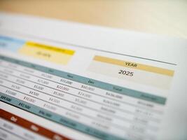 2025 business strategies analyzing financial data for future growth in a dynamic environment photo
