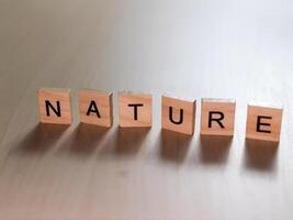 Nature inspired wooden letters creative workshop indoor minimalist close-up artistic expression photo