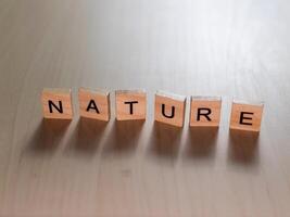 Nature inspired letter blocks table creative art concept indoor setting close-up viewpoint photo