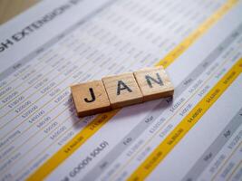 Monthly budget review january overview business report office setting informative financial planning photo