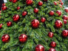 Decorative red ornaments a christmas tree holiday display indoor close-up view festive atmosphere photo