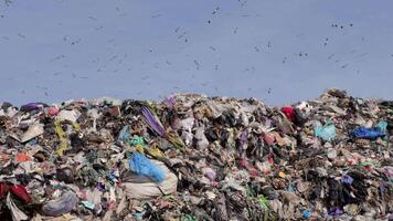 A massive accumulation of discarded plastic and debris towers over a landfill site, revealing the ongoing issue of waste management in urban areas video