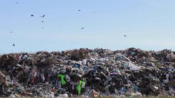 A landfill site shows extensive accumulation of plastic and other waste, highlighting pollution and environmental impact caused by garbage video