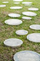 Pathway of circular stones grass outdoor garden nature serene environment low angle view photo