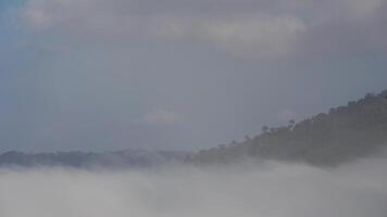 A plane flying over a foggy area with trees video