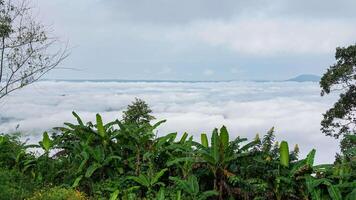 A view of the clouds from a hillside video