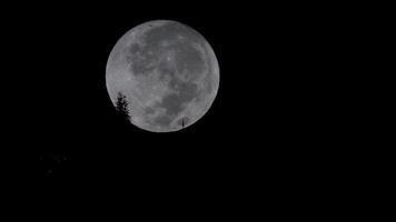 Full moon setting behind Phra That Doi Suthep, Chiang Mai, Thailand video