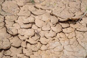 Drought impact soil cracks agriculture fields dry environment close-up view environmental awareness photo