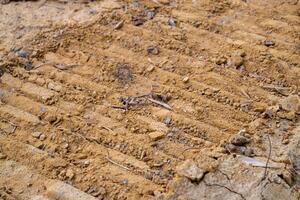 Earthy ground surface and site preparation for urban development and building foundations photo