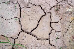 Soil cracking due to drought a close-up view of rural environmental challenges photo