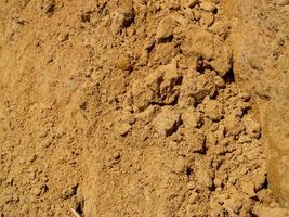 Exploring soil composition in natural landscapes a close-up view of earth's impact photo