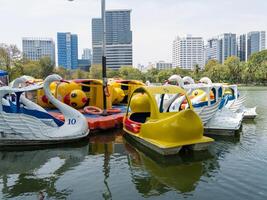 Swan paddle boats city park lake recreation urban setting aerial view family fun photo