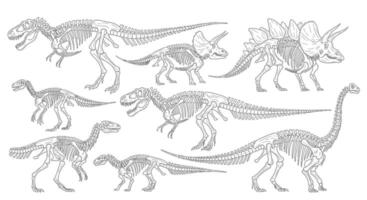 Dinosaur Skeletons Fossils with Prehistoric Era, and Animals. vector