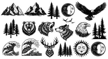 nature elements with wild animals and mountains. vector