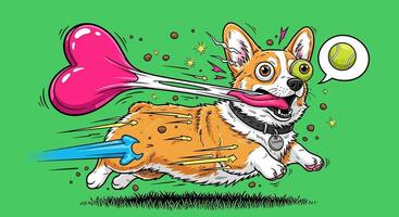 Funny Corgi Run Dog with Bone and Tennis ball. vector