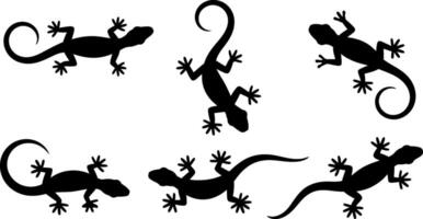 Collection of five black gecko silhouettes in various poses and orientations silhouette vector