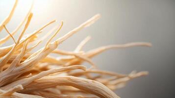 Delicate strands of dry root material swaying gently under soft light in a minimalistic setting photo