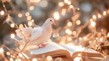 White dove perched on open book surrounded by glowing fairy lights at twilight in a serene setting photo