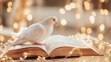 White dove perched on an open book surrounded by warm lights in a cozy setting photo
