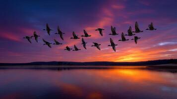 Tranquil lake reflects vibrant sunset with birds flying in beautiful formation across the calm scenic nature landscape photo