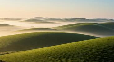 Rolling green hills of Palouse Washington at sunrise with fog creating layers of natures beauty photo