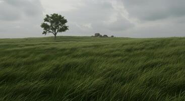 Serene green field with a single tree against cloudy sky evokes a sense of calm nature and peaceful landscape photo