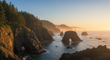 Golden sunset illuminates sea stacks and coastal forest along the rugged Oregon coastline creating a beautiful nature landscape photo