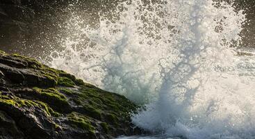 Crashing wave against moss covered rocks capturing coastal power and erosion in a dynamic waterscape photo
