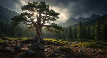Lone majestic tree silhouetted against bright sunlight serene mountain landscape with dramatic sky and alpine forest background photo
