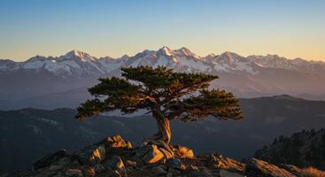 Majestic mountain landscape featuring a lone tree silhouetted against snow capped peaks at golden hour photo