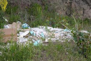 Overgrown wild thicket embraces forgotten debris, echoing Earth Days call to reclaim urban waste with eco friendly resilience photo