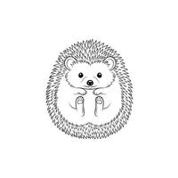Cute Curled Hedgehog Line Drawing Black White line art vector