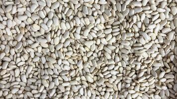 Heap of ivory hued beans evoke rustic harvest charm, perfect for Navaratris fasting feasts or niche culinary explorations photo