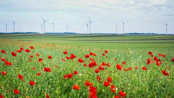 Vibrant poppies dance in the breeze beneath whispering wind turbines, celebrating World Environment Day with pastoral tranquility photo