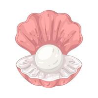 Pearl in a Pink Shell vector