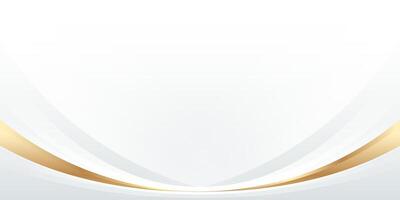 Luxury white background with golden curves Banner, , website template, certificate, cover and presentation vector